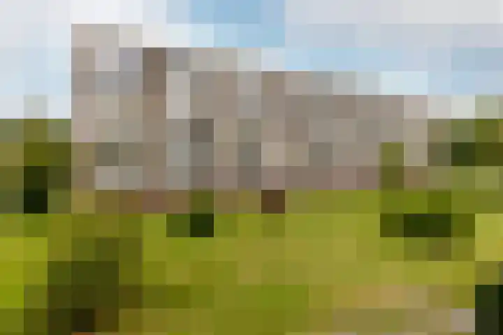 Ir Leemansstraat 31 Nieuwerkerk aan den IJssel thumbnail 24