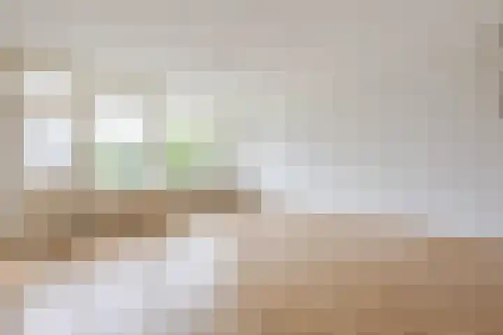 Ir Leemansstraat 31 Nieuwerkerk aan den IJssel thumbnail 8