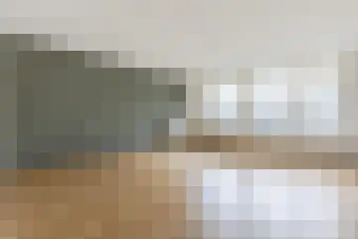 Ir Leemansstraat 31 Nieuwerkerk aan den IJssel thumbnail 9