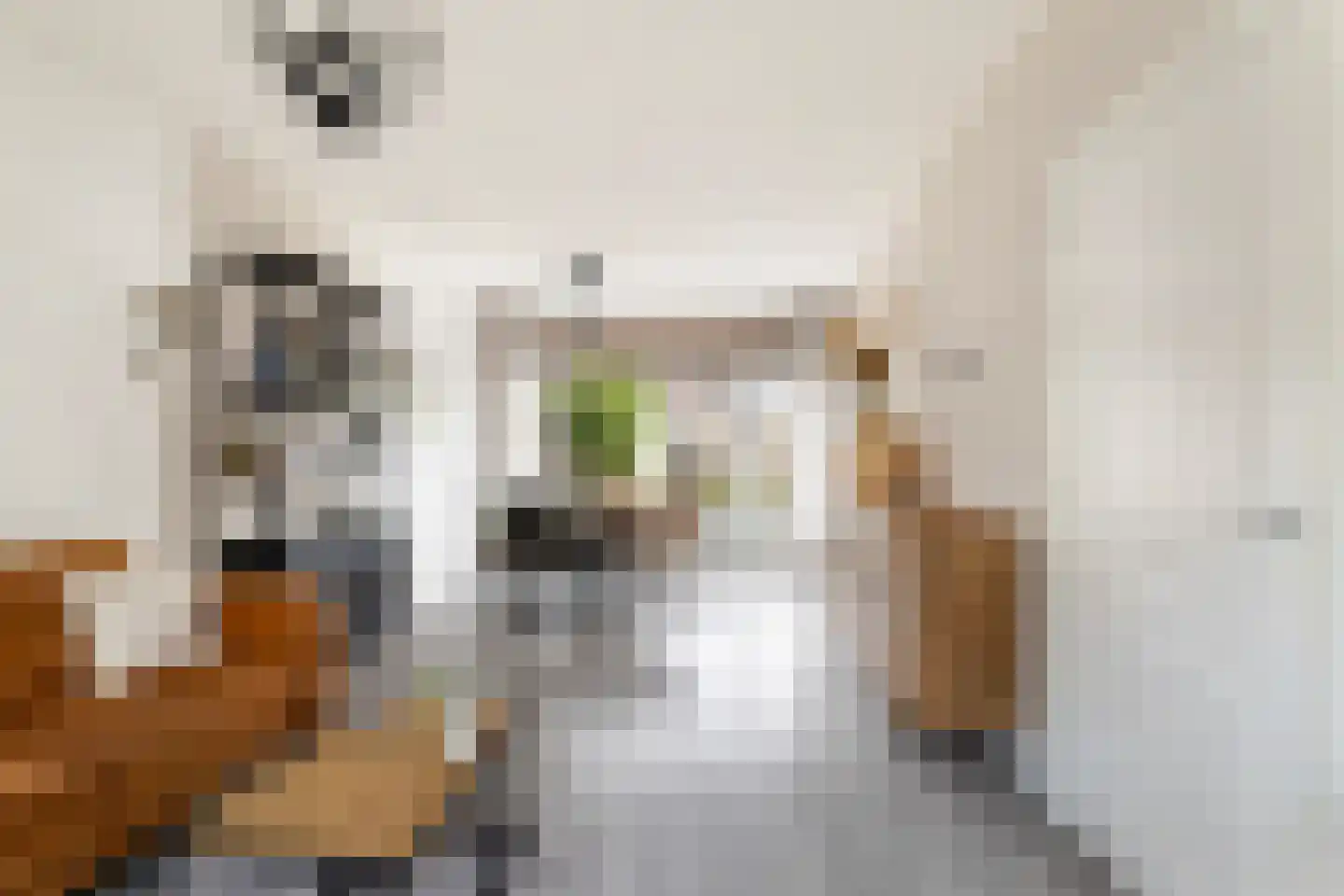 Ir Leemansstraat 49 Nieuwerkerk aan den IJssel thumbnail 11