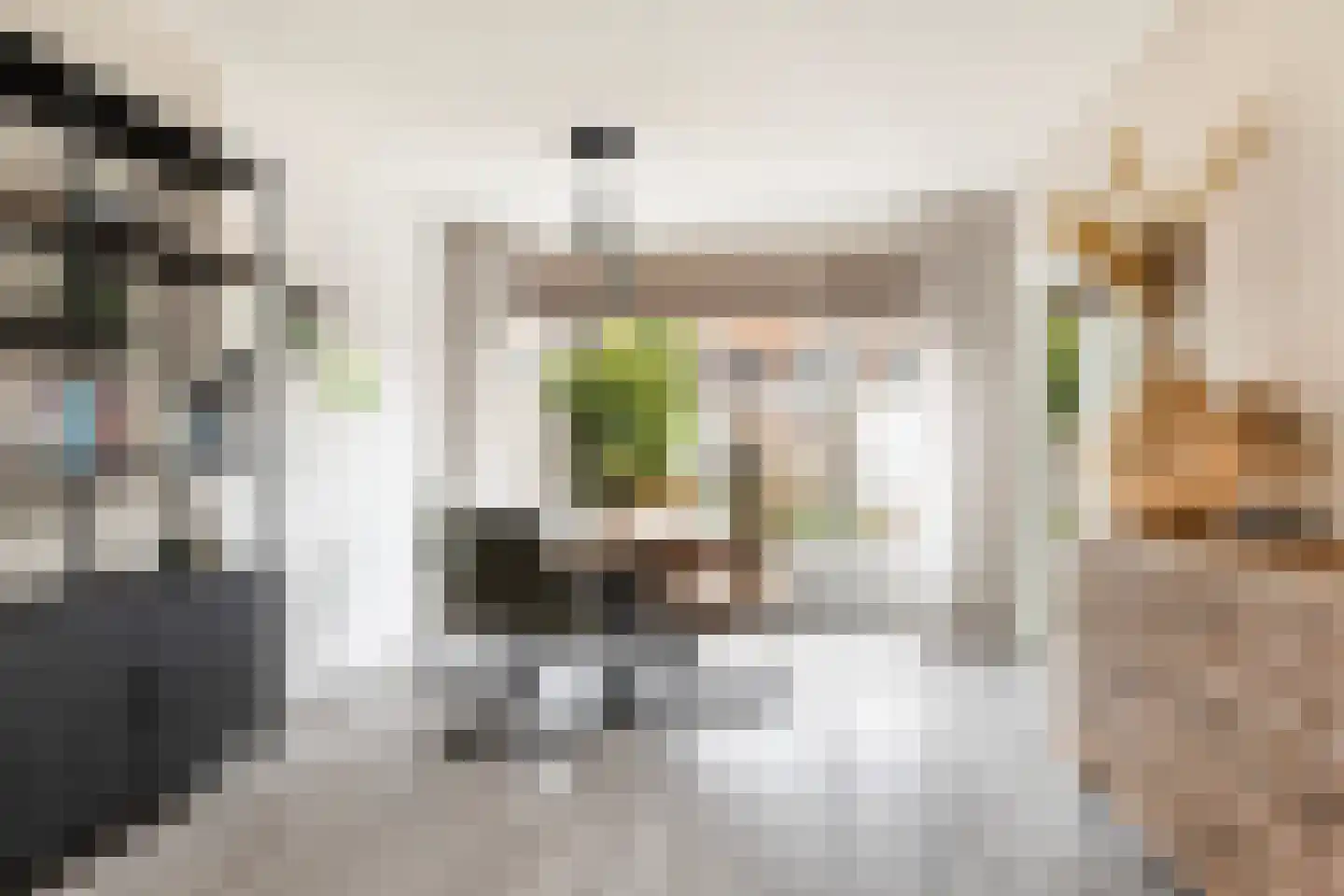 Ir Leemansstraat 49 Nieuwerkerk aan den IJssel thumbnail 12