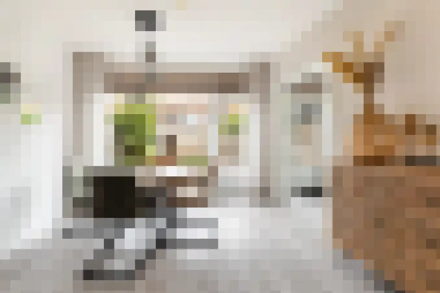 Ir Leemansstraat 49 Nieuwerkerk aan den IJssel thumbnail 13