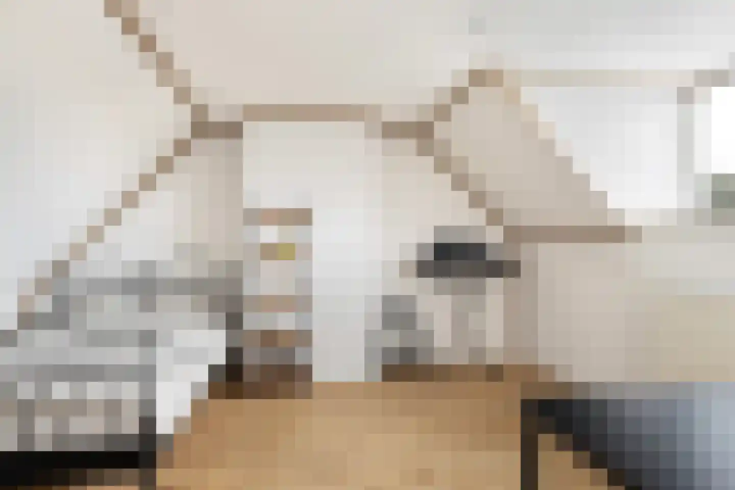 Ir Leemansstraat 49 Nieuwerkerk aan den IJssel thumbnail 27