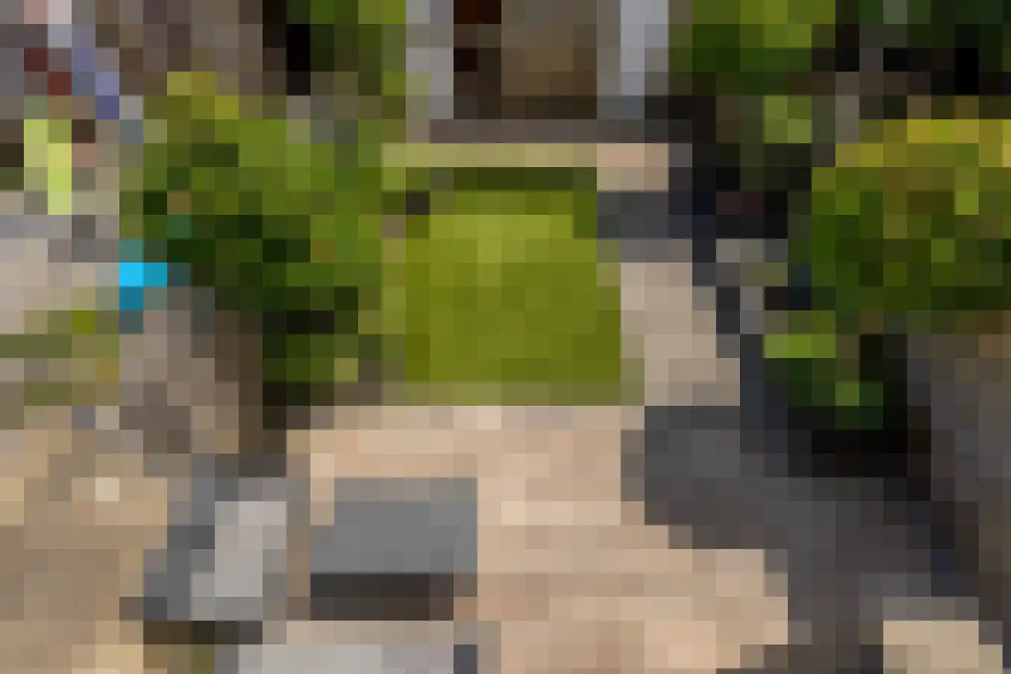 Ir Leemansstraat 49 Nieuwerkerk aan den IJssel thumbnail 30