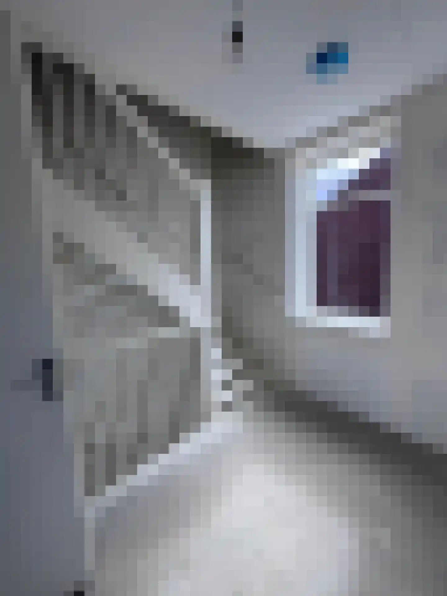 Ir. Lelykade 85 Harderwijk thumbnail 43