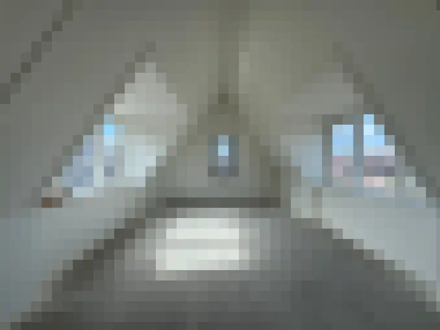 Ir. Lelykade 85 Harderwijk thumbnail 46