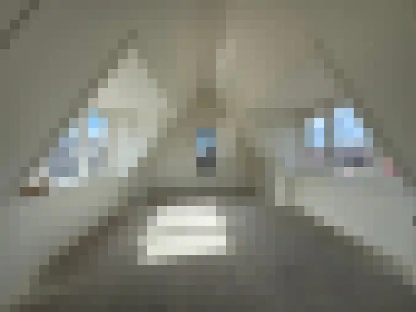 Ir. Lelykade 85 Harderwijk thumbnail 49