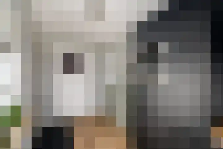 Ir.Lelylaan 101 Wolvega thumbnail 13