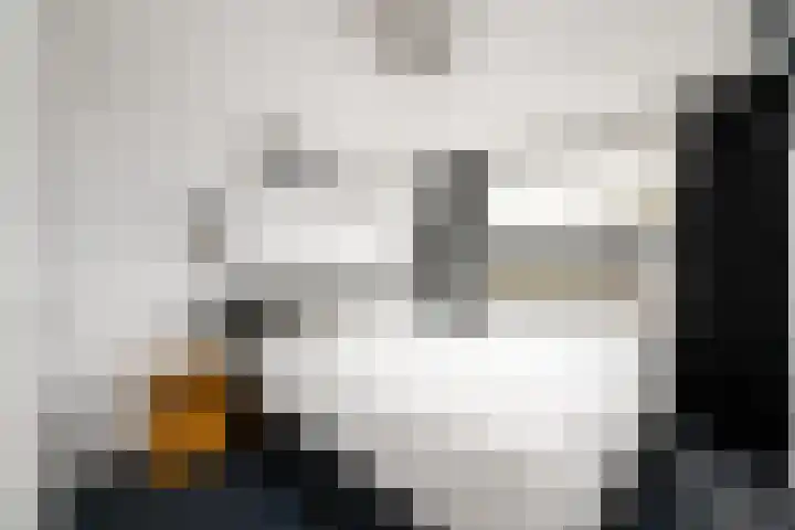 Ir.Lelylaan 101 Wolvega thumbnail 18