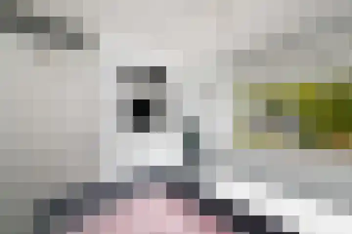 Ir.Lelylaan 101 Wolvega thumbnail 22