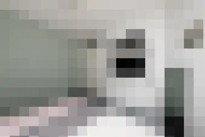 Ir.Lelylaan 101 Wolvega thumbnail 23