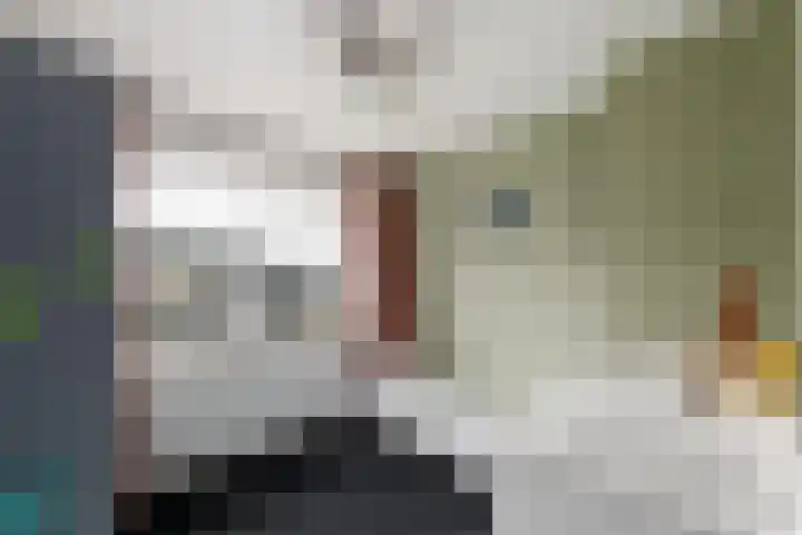 Ir.Lelylaan 101 Wolvega thumbnail 24