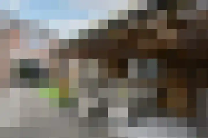 Ir.Lelylaan 101 Wolvega thumbnail 30
