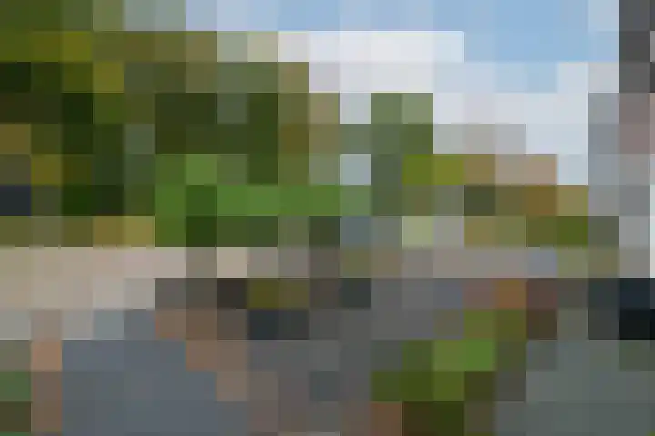 Ir.Lelylaan 101 Wolvega thumbnail 36