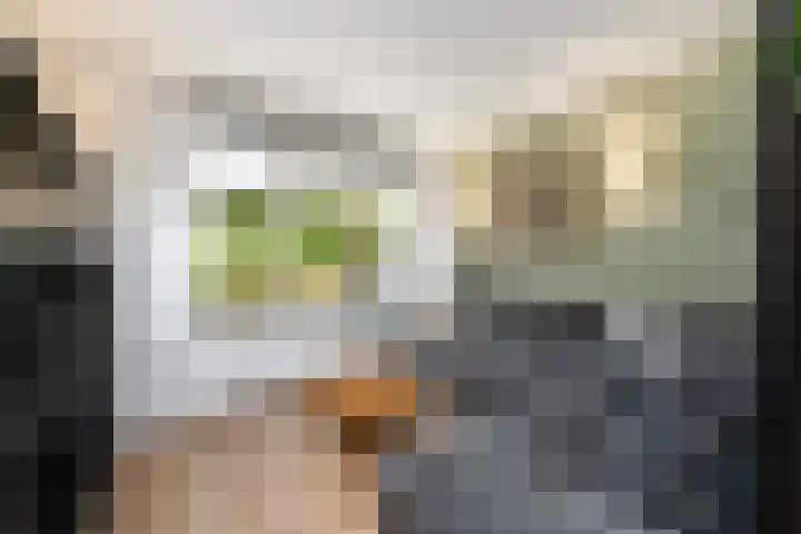Ir.Lelylaan 101 Wolvega thumbnail 4