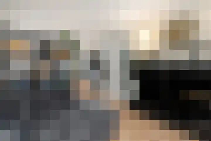 Ir.Lelylaan 101 Wolvega thumbnail 5