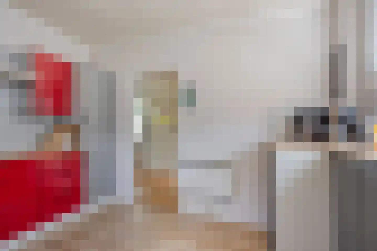 Ir.Lelylaan 138 Wolvega thumbnail 6
