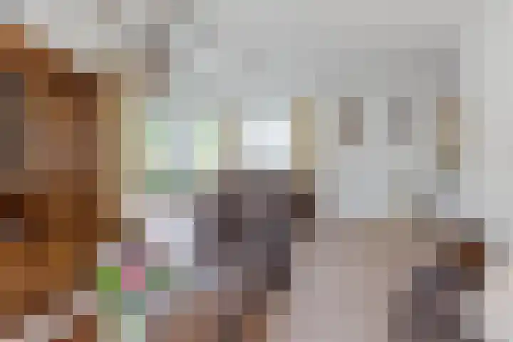 Ir.Lelylaan 154 Wolvega thumbnail 10