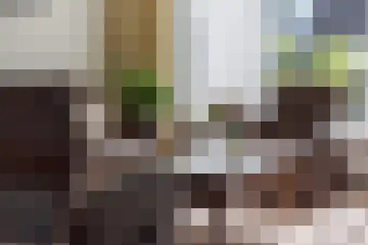 Ir.Lelylaan 154 Wolvega thumbnail 11