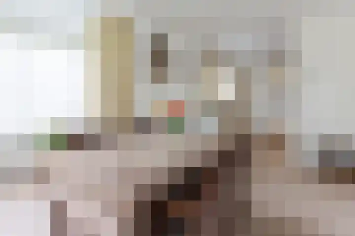 Ir.Lelylaan 154 Wolvega thumbnail 13