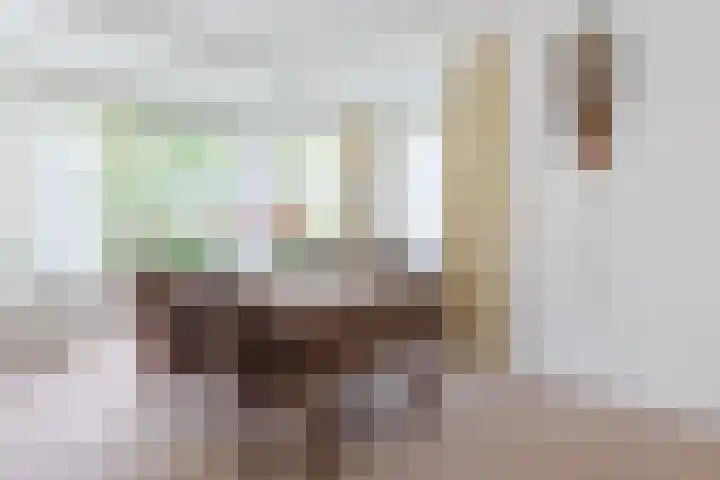 Ir.Lelylaan 154 Wolvega thumbnail 15
