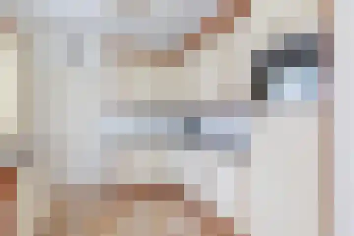 Ir.Lelylaan 154 Wolvega thumbnail 17