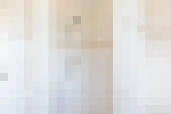 Ir.Lelylaan 154 Wolvega thumbnail 23