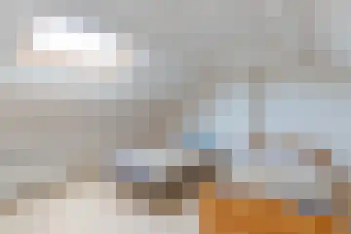Ir.Lelylaan 154 Wolvega thumbnail 28