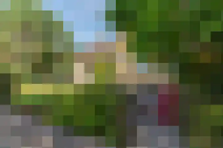 Ir.Lelylaan 154 Wolvega thumbnail 30