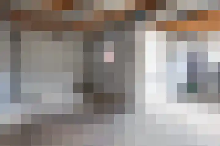 Ir.Lelylaan 154 Wolvega thumbnail 33
