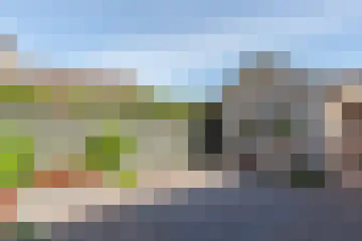 Ir.Lelylaan 154 Wolvega thumbnail 35
