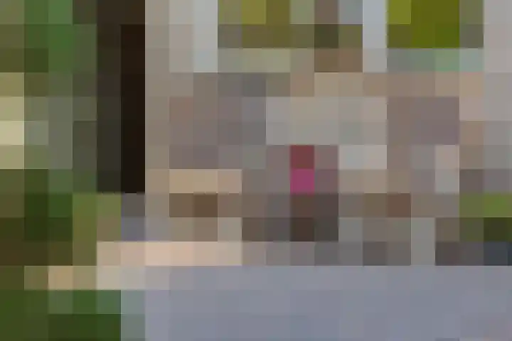 Ir.Lelylaan 154 Wolvega thumbnail 36