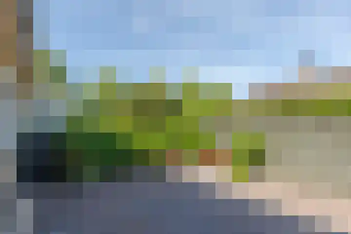 Ir.Lelylaan 154 Wolvega thumbnail 39