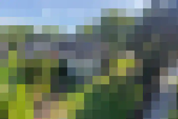 Ir.Lelylaan 154 Wolvega thumbnail 4