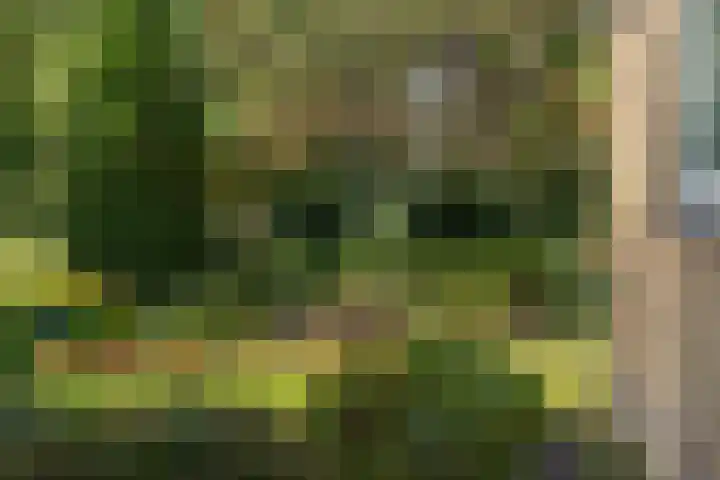 Ir.Lelylaan 154 Wolvega thumbnail 40