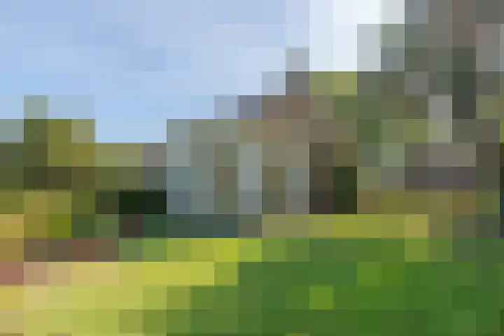 Ir.Lelylaan 154 Wolvega thumbnail 5