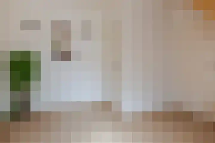 Ir.Lelylaan 154 Wolvega thumbnail 7