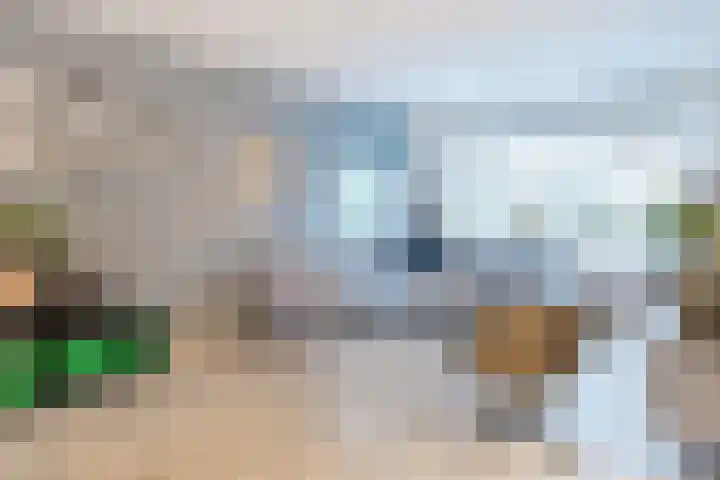 Ir.Lelylaan 2 Wolvega thumbnail 11
