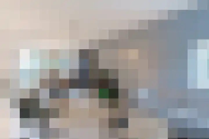 Ir.Lelylaan 2 Wolvega thumbnail 14