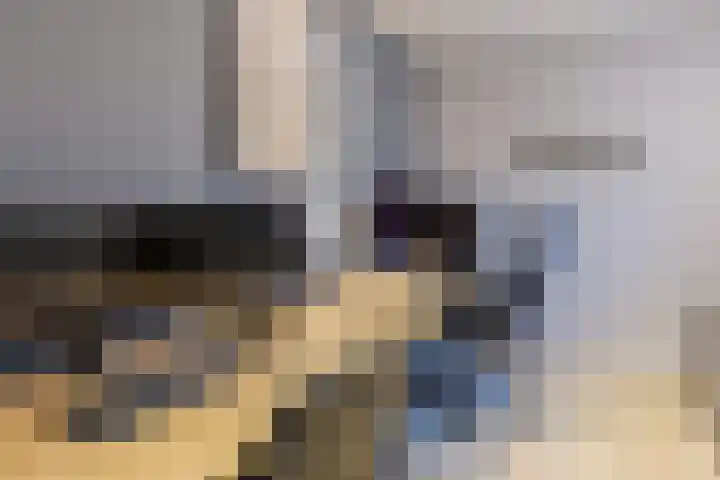 Ir.Lelylaan 2 Wolvega thumbnail 16