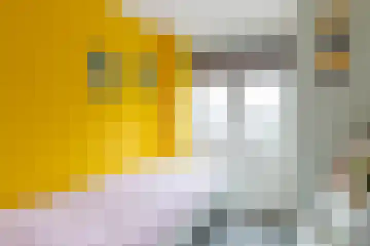 Ir.Lelylaan 2 Wolvega thumbnail 20