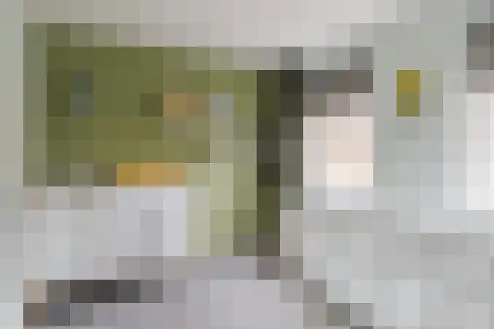 Ir.Lelylaan 2 Wolvega thumbnail 21