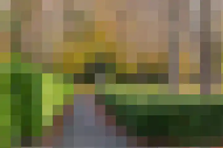Ir.Lelylaan 2 Wolvega thumbnail 30
