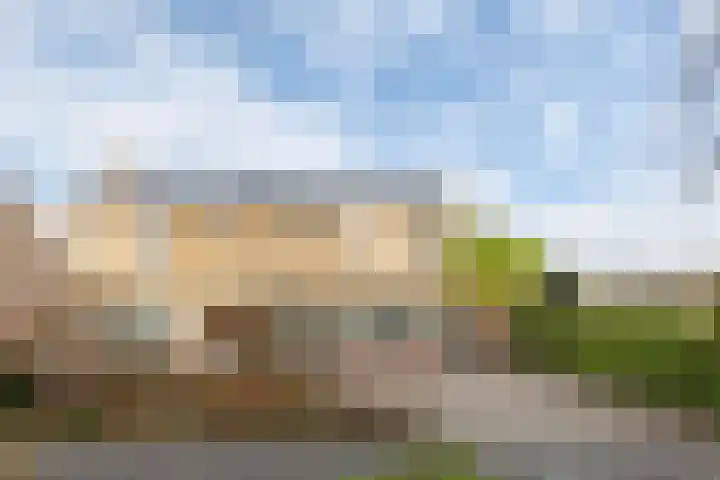 Ir.Lelylaan 2 Wolvega thumbnail 4