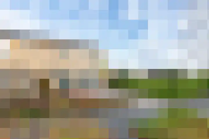 Ir.Lelylaan 2 Wolvega thumbnail 5