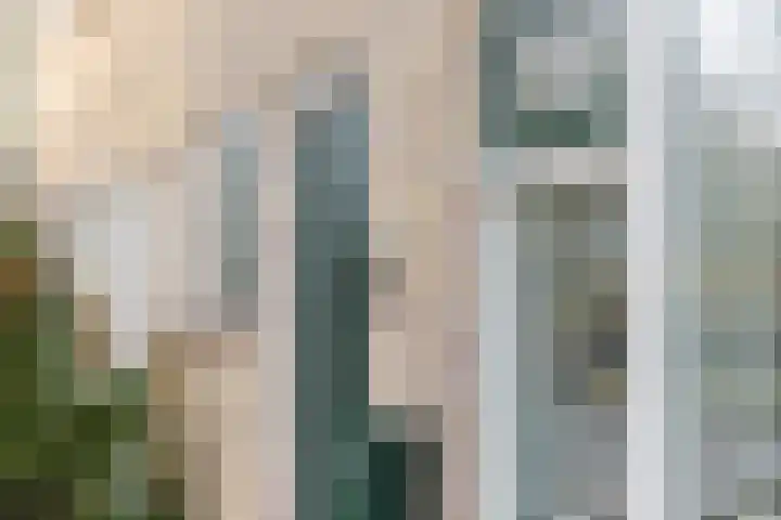 Ir.Lelylaan 2 Wolvega thumbnail 6