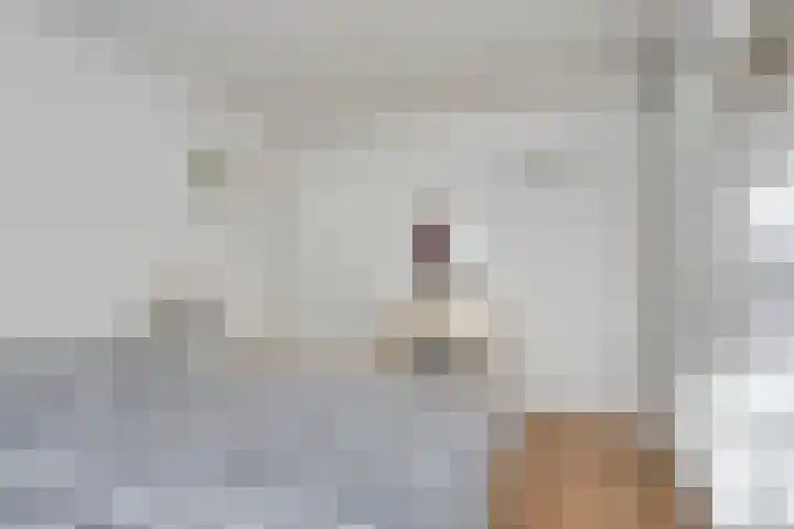 Ir.Lelylaan 56 Wolvega thumbnail 14