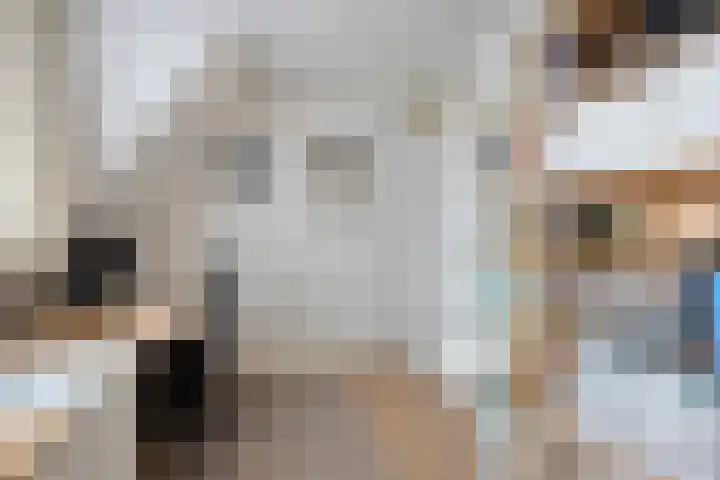 Ir.Lelylaan 56 Wolvega thumbnail 16