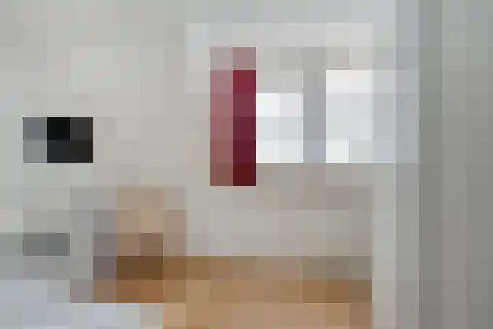Ir.Lelylaan 56 Wolvega thumbnail 17