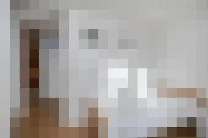 Ir.Lelylaan 56 Wolvega thumbnail 18